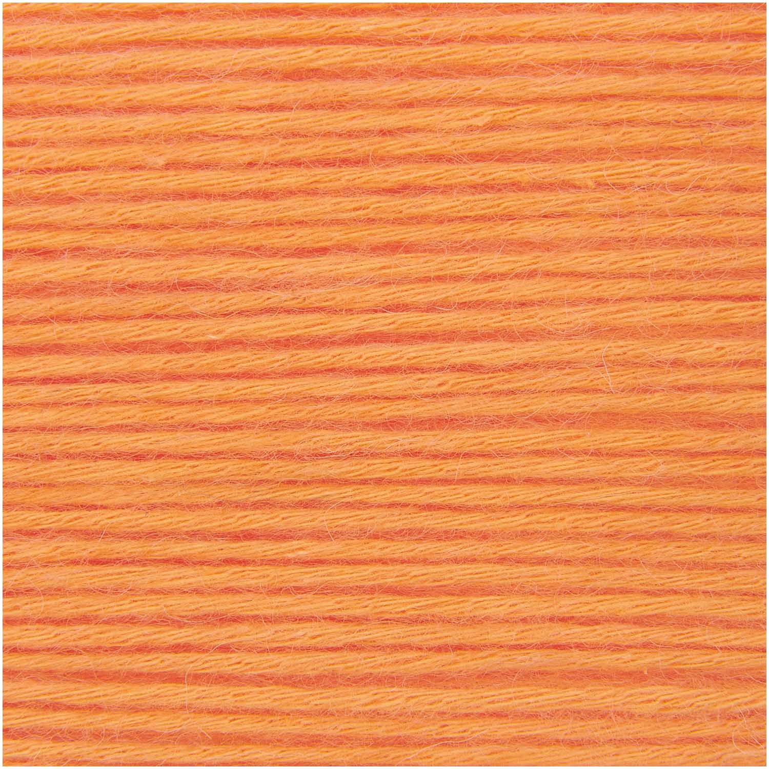 004 Oranžinė